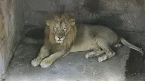 Costa Rica cierra todos los Zoológicos para conservar las especies