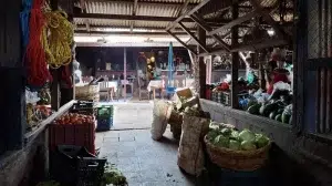 Lluvias impulsan incremento en precios de pepino y lechuga en Camoapa