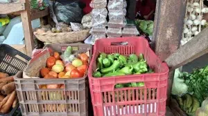 Baja el precio del tomate y la chiltoma en el mercado de Camoapa