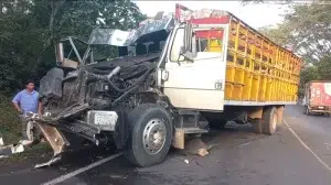 Accidente entre un camión ganadero y otro vehículo pesado