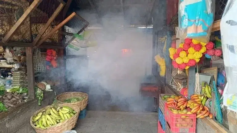 La importancia de la limpieza en el hogar para prevenir el dengue