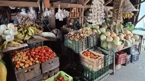 El mango: caro y escaso en Camoapa